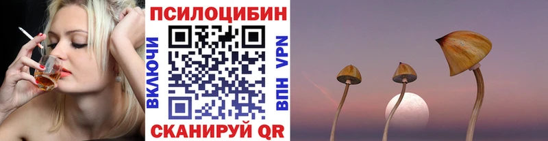 Псилоцибиновые грибы Cubensis  Лысково 